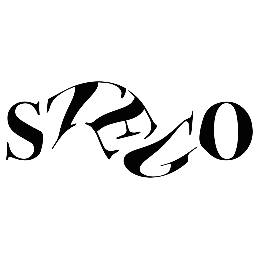 CHI CAZZO È Stego Studios