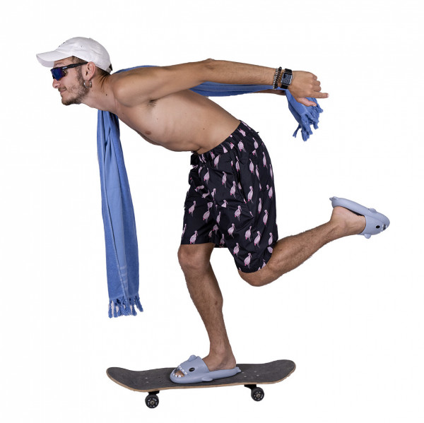 Stegostume - fenicopters