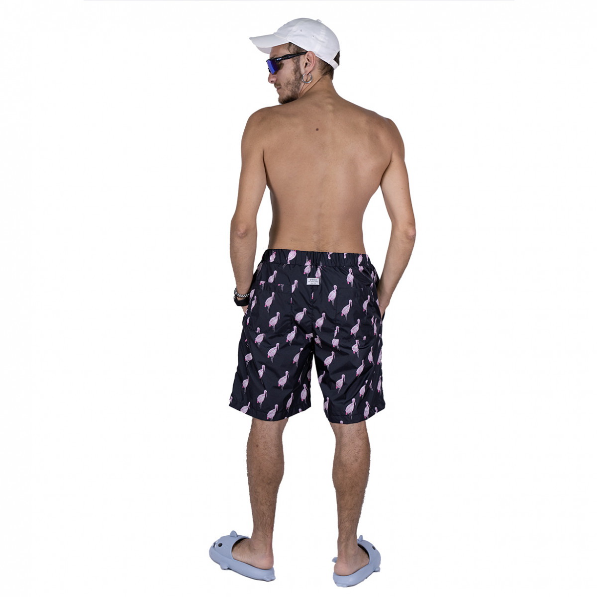 Stegostume - fenicopters