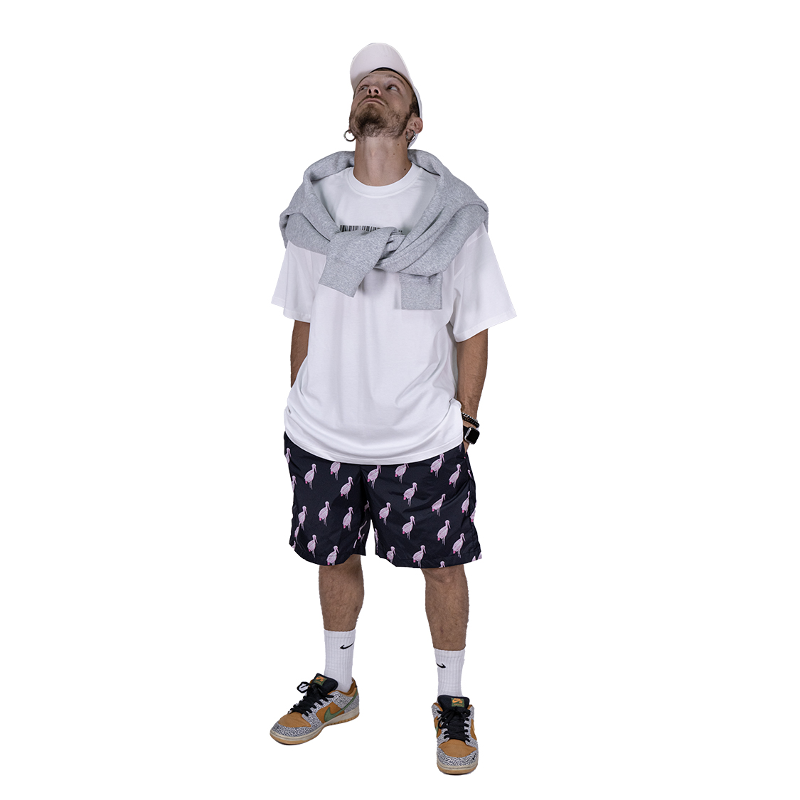 Stegostume - fenicopters