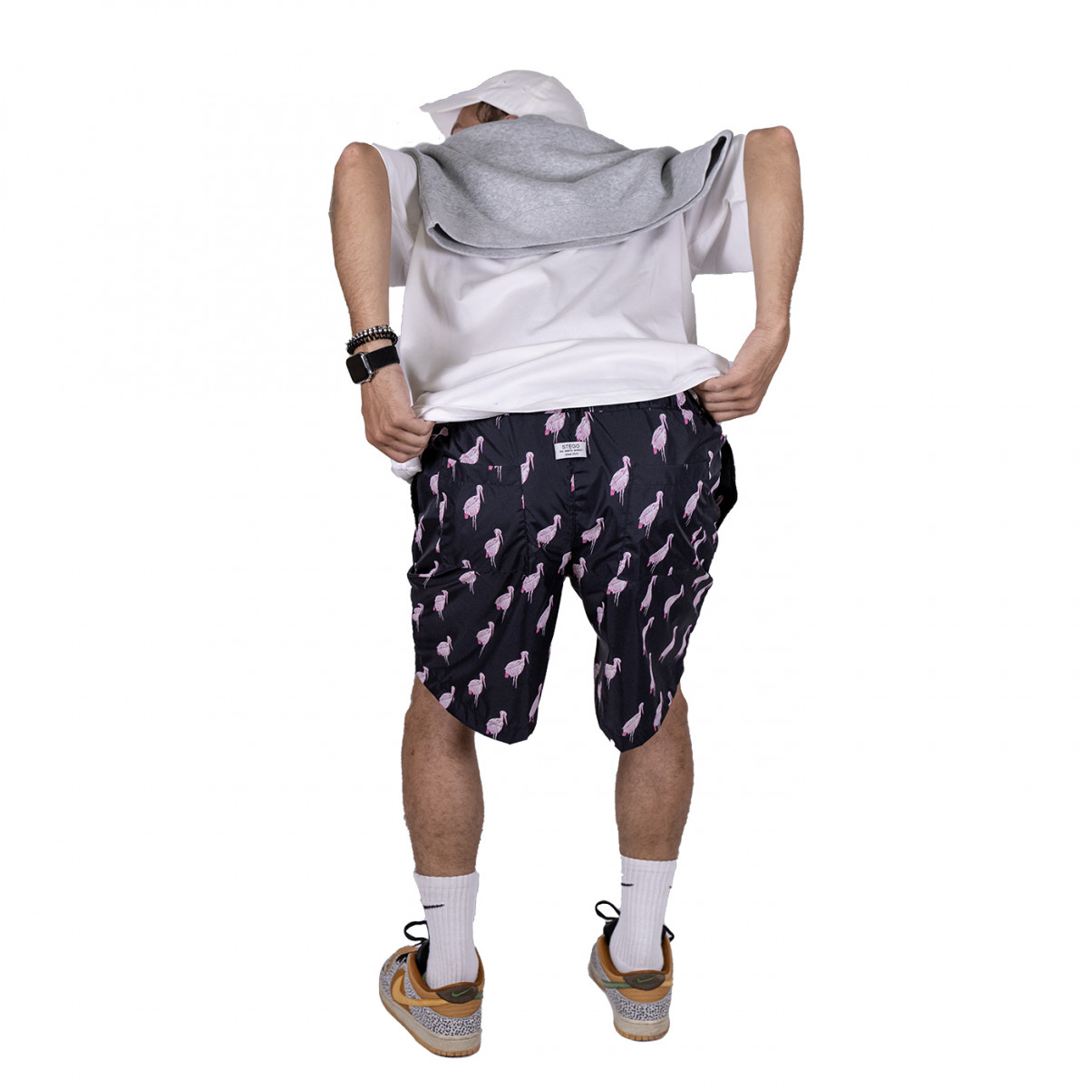 Stegostume - fenicopters