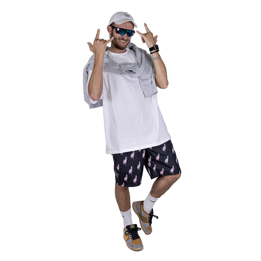 Stegostume - fenicopters